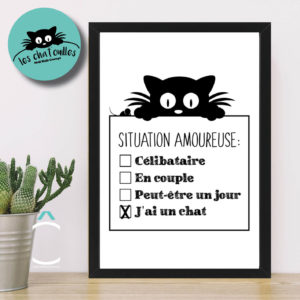 Cadre – Situation amoureuse: j’ai un chat