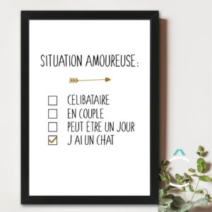 Cadre – Situation amoureuse: j’ai un chat