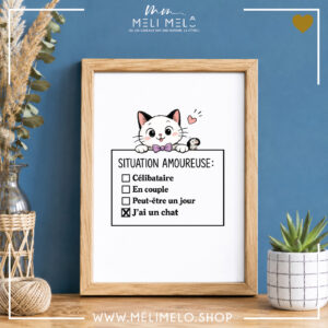 Cadre humoristique chat – Situation amoureuse: j&rsquo;ai un chat