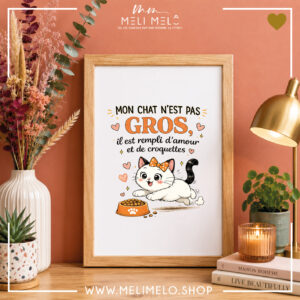 Cadre humoristique chat – Mon chat n&rsquo;est pas gros