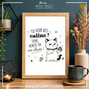 Cadre humoristique chat – Tu veux des câlins? Tiens, achète-toi un chien!