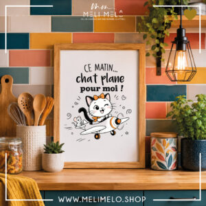 Cadre humoristique chat – Ce matin, chat plane pour moi!