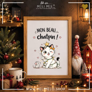 Cadre humoristique chat – Mon beau chapin