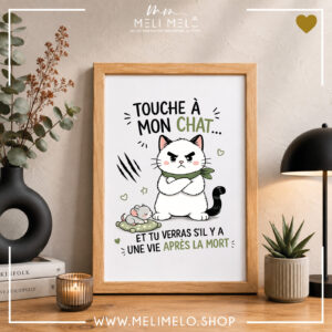 Cadre humoristique chat – Touche à mon chat et tu verras s&rsquo;il y a une vie après la mort