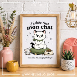 Cadre humoristique chat – J&rsquo;habite chez mon chat mais c&rsquo;est moi qui paye le loyer