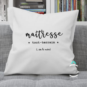 Coussin – Maître(sse) tout-terrain